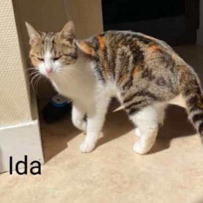 Ida