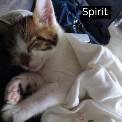 Spirit