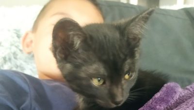 Photos de Bagheera alias Aglae