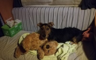 Quelques photos de Tilou
