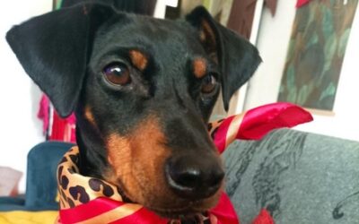 Des nouvelles de Roxie(Sunny)