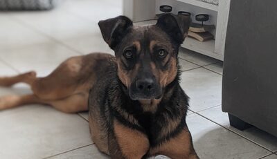 Roxie