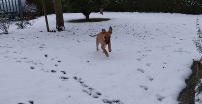 Néo à la neige