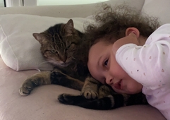 Simba et Minette