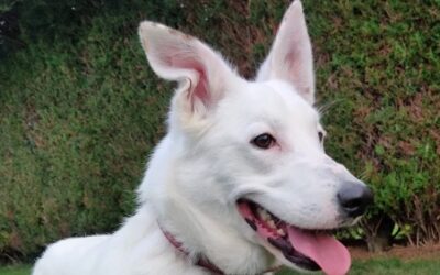 Départs décembre 2025