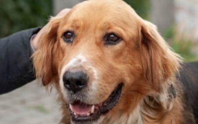 LORD ❤️ Réservé