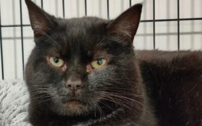 Départs janvier 2026