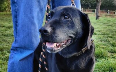 EDA – OPÉRATION DOYEN – Réservée