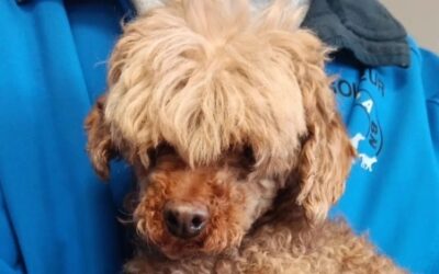 PADMEY – Réservée