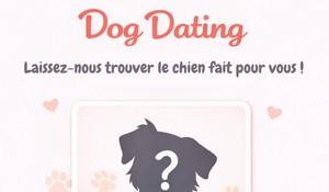 Dog Dating
