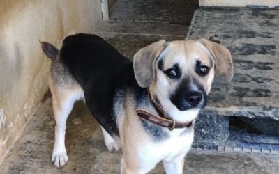 STITCH – Réservé