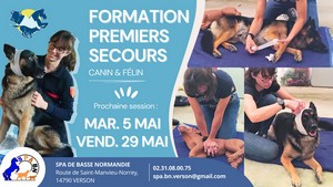 Formation premiers secours canin et félin