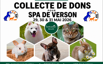🟢 Collecte de dons du 29/05 au 31/05
