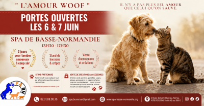 🟡🎬 PORTES OUVERTES – LES 6 & 7 JUIN