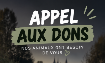 🟡 APPEL AUX DONS